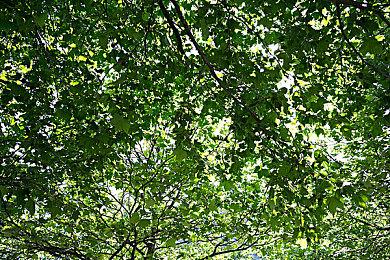 《龙腾世纪：影障守护者》总监称下次会让玩家过去的选择更有意义