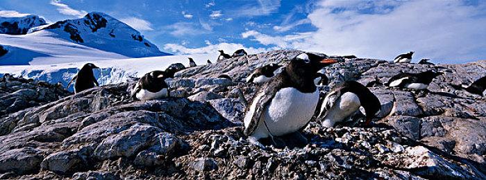 叙事对话类游戏《深夜拉面》Steam页面上线 2024年发售